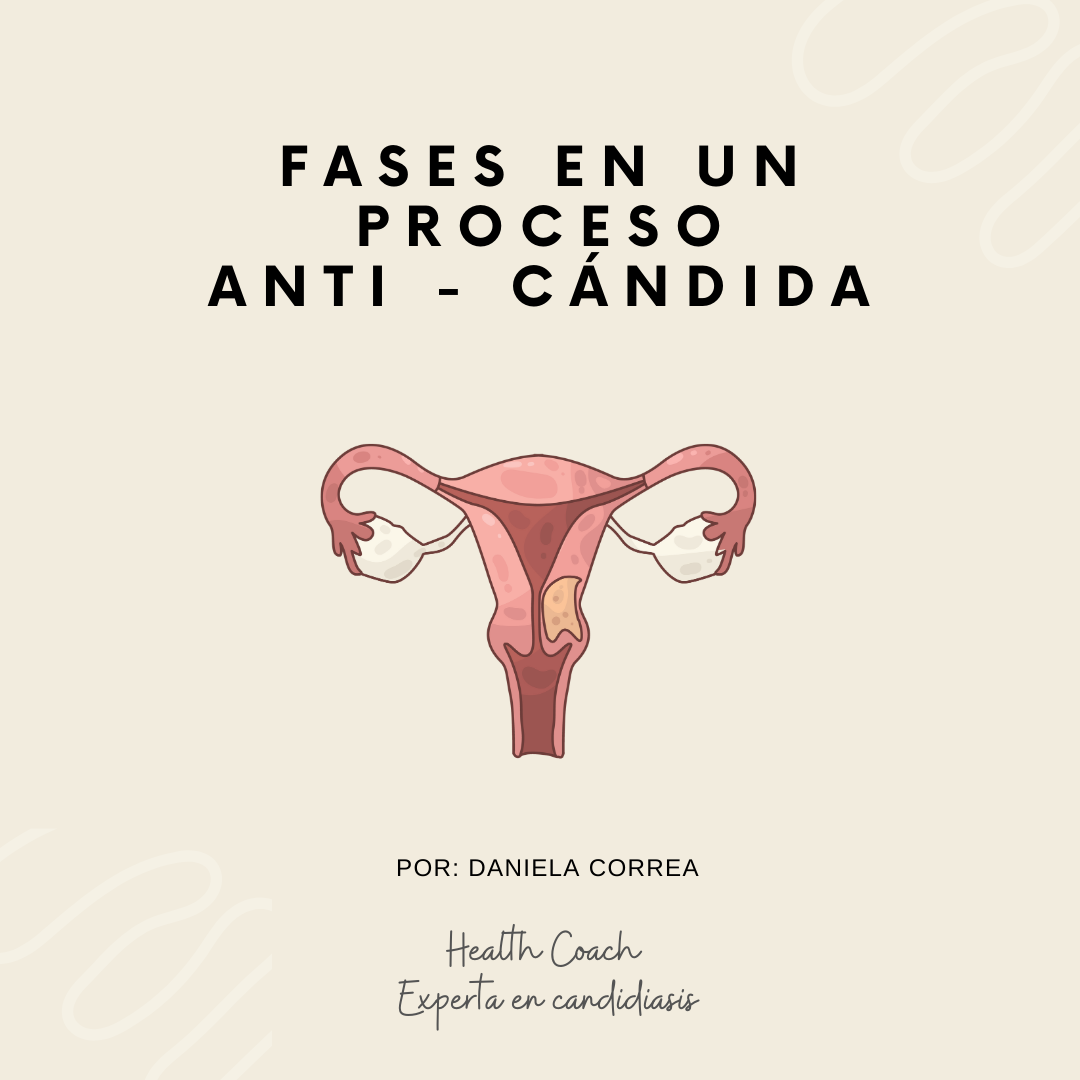 Fases en un Proceso Anti - Cándida