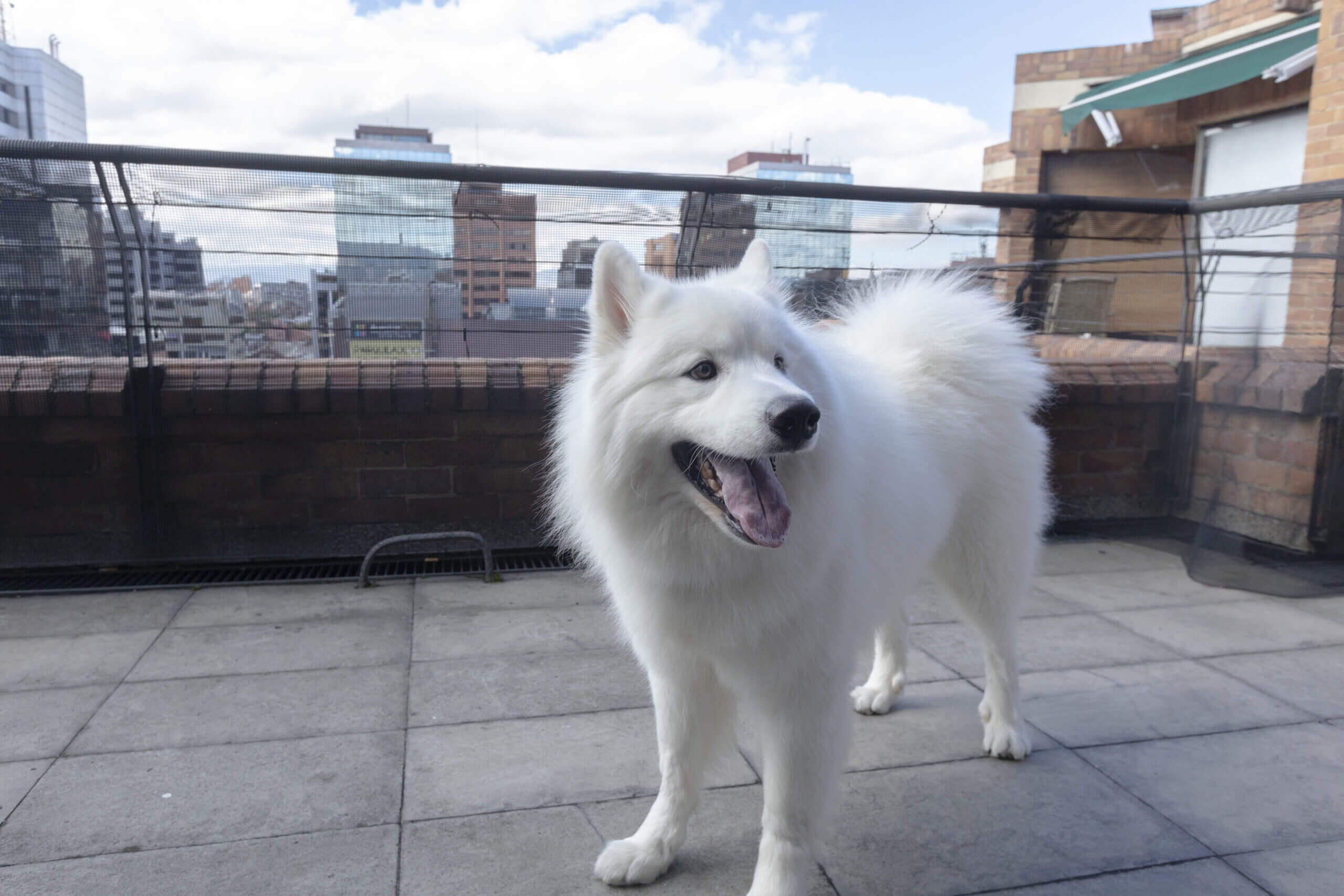 Edificios y comunidad