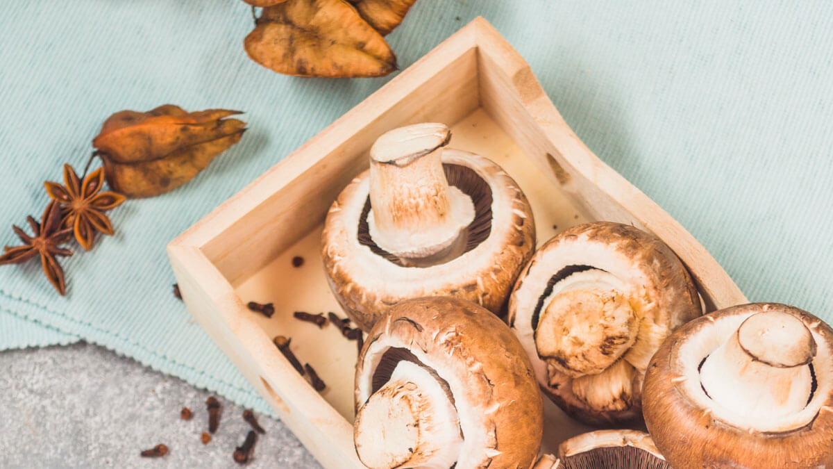 Hongo shiitake: Propiedades y recetas